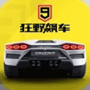 莱巴金娜失误